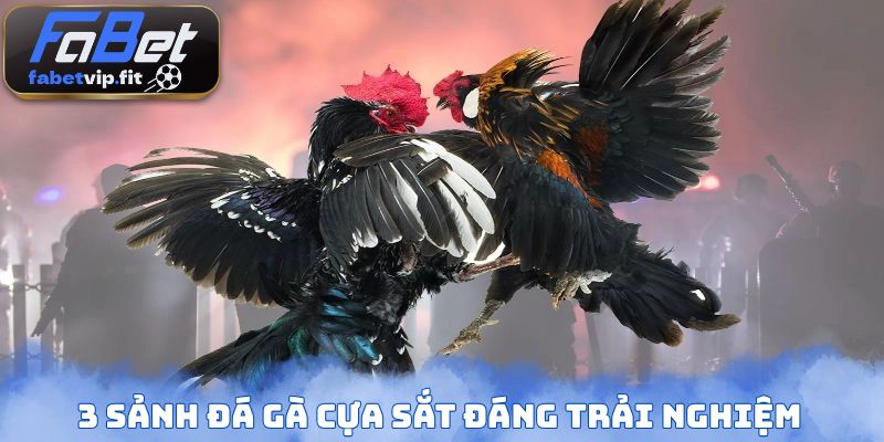 3 sảnh đá gà cựa sắt đáng trải nghiệm