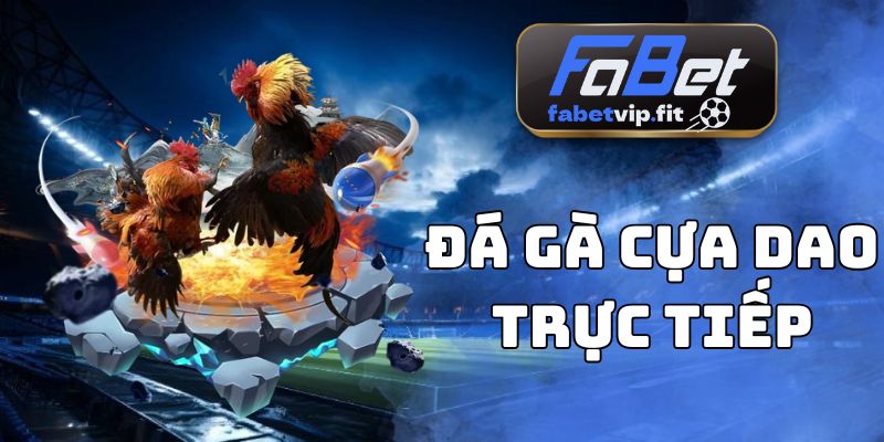 Đá Gà Cựa Dao Trực Tiếp
