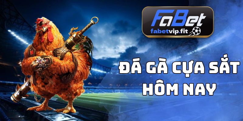 Đá Gà Cựa Sắt Hôm Nay