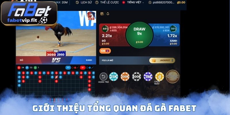 Giới thiệu tổng quan đá gà Fabet