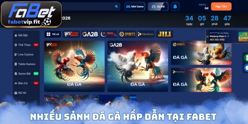 Nhiều sảnh đá gà hấp dẫn tại Fabet