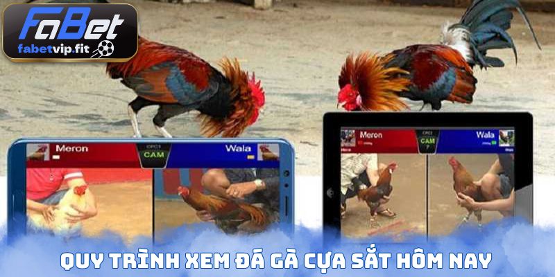 Quy trình xem đá gà cựa sắt hôm nay